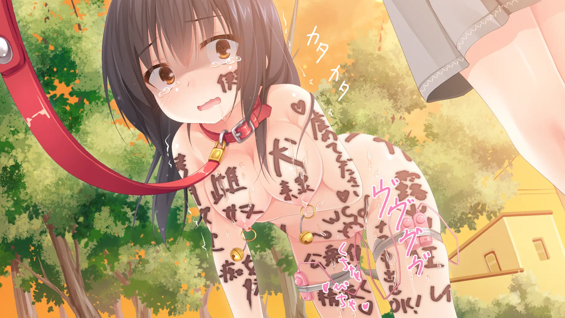 Gyakutaiyou Seidorei No Imouto.
